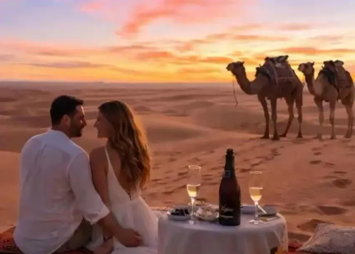 Elegant Luxury Camp